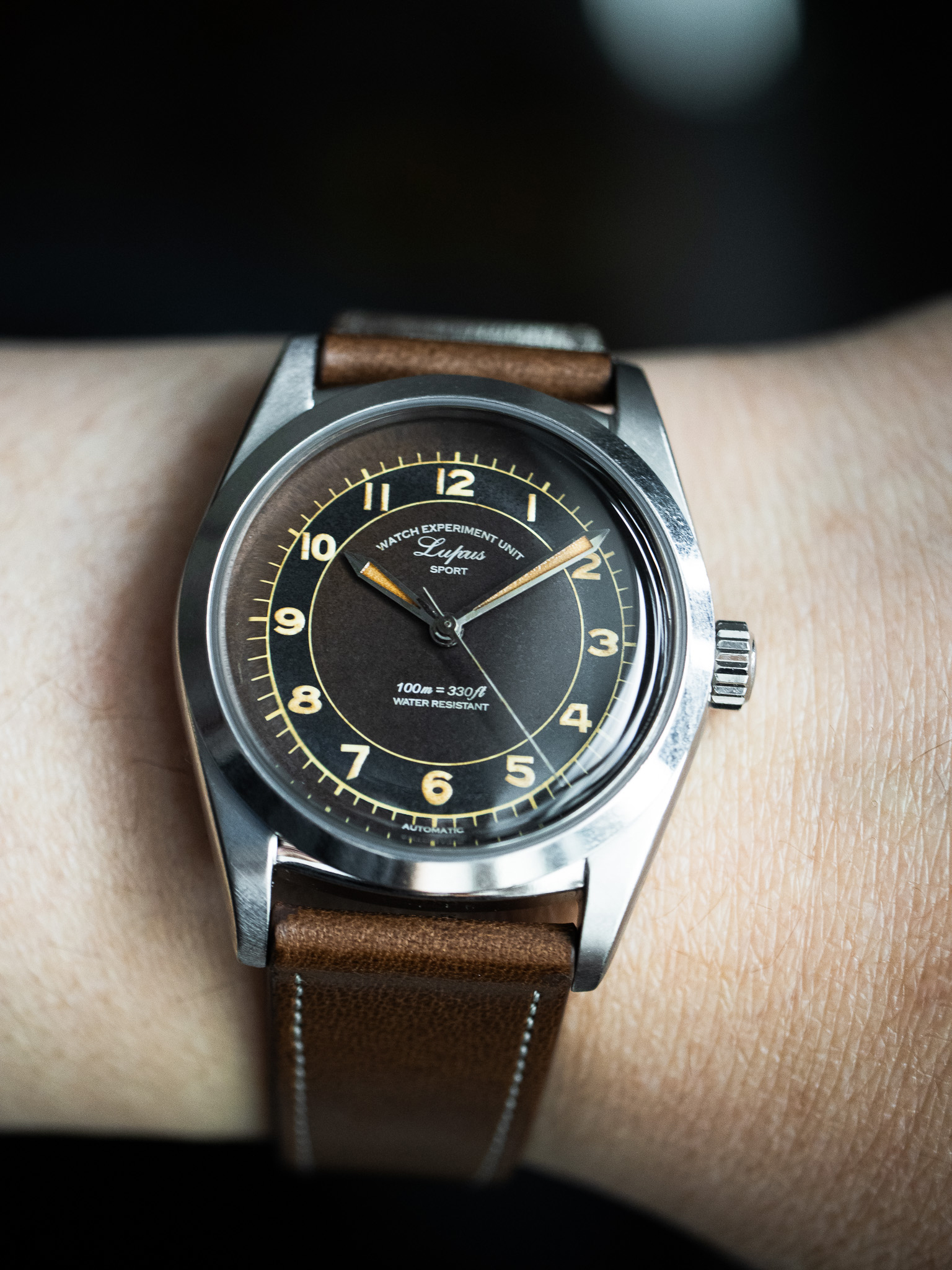 Lupas - Tropical Dial / Aged- Limited Edition / Metal Bracelet + Leather Strap Set / Pre-order / Delivery date – Mid of May 2026 - Image 12